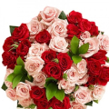 send 3 dozen roses to philippines