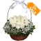 send 2 dozen of white color roses in basket to cebu